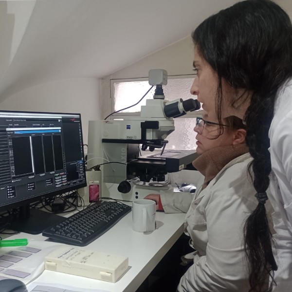 Advancing Laboratory Automation in Argentina